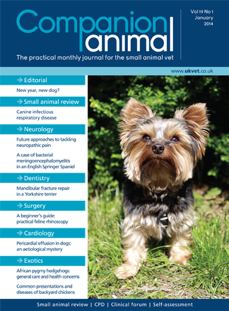 Companion Animal Magazine