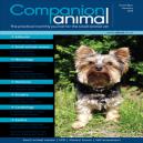 Companion Animal Magazine