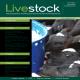 Livestock Magazine