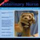 The Veterinary Nurse Magazine